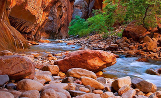 No Reservation? No Problem: The Subversive Guide to Outdoor Travel