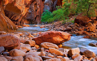 No Reservation? No Problem: The Subversive Guide to Outdoor Travel
